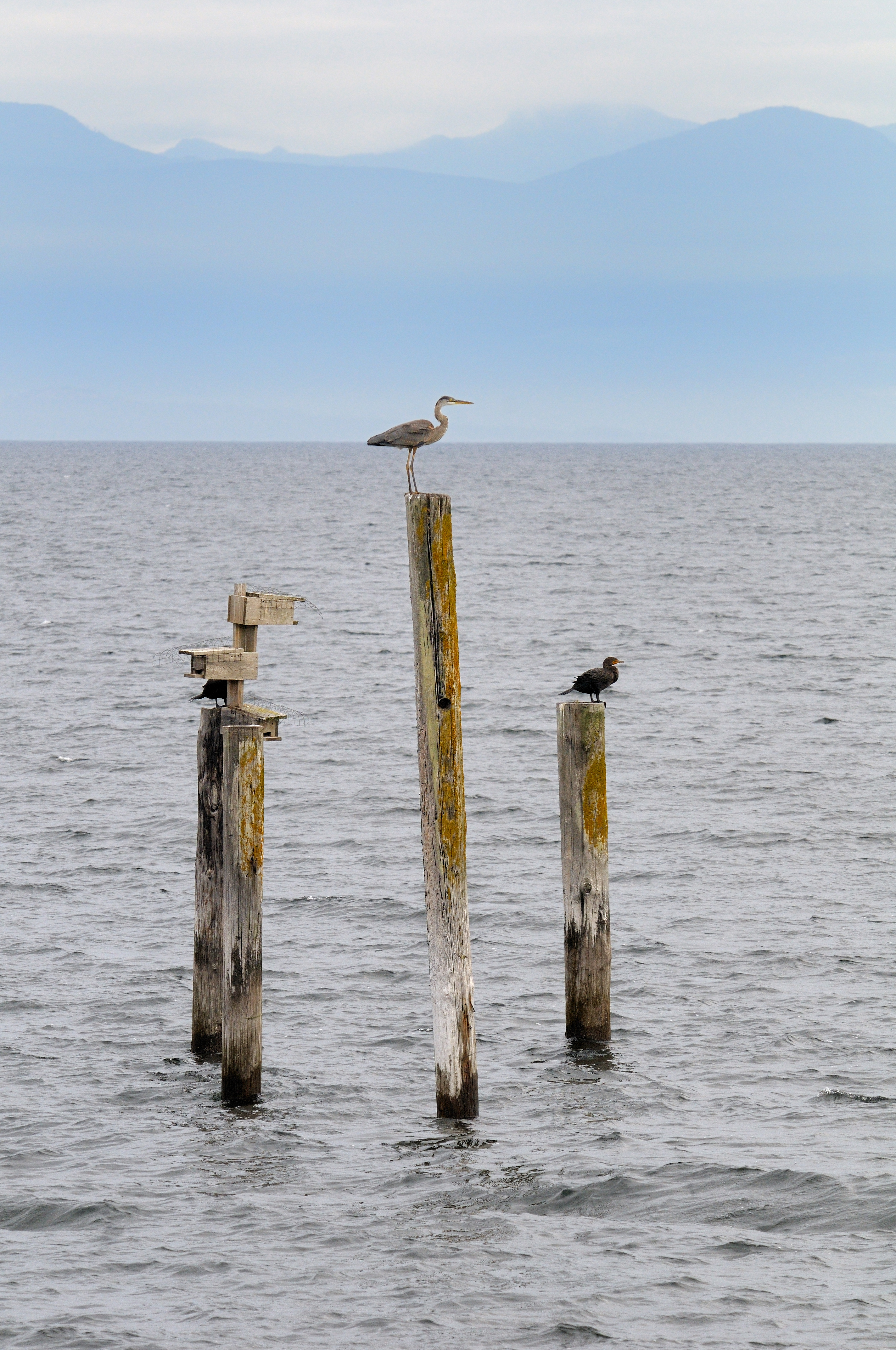 Pilings